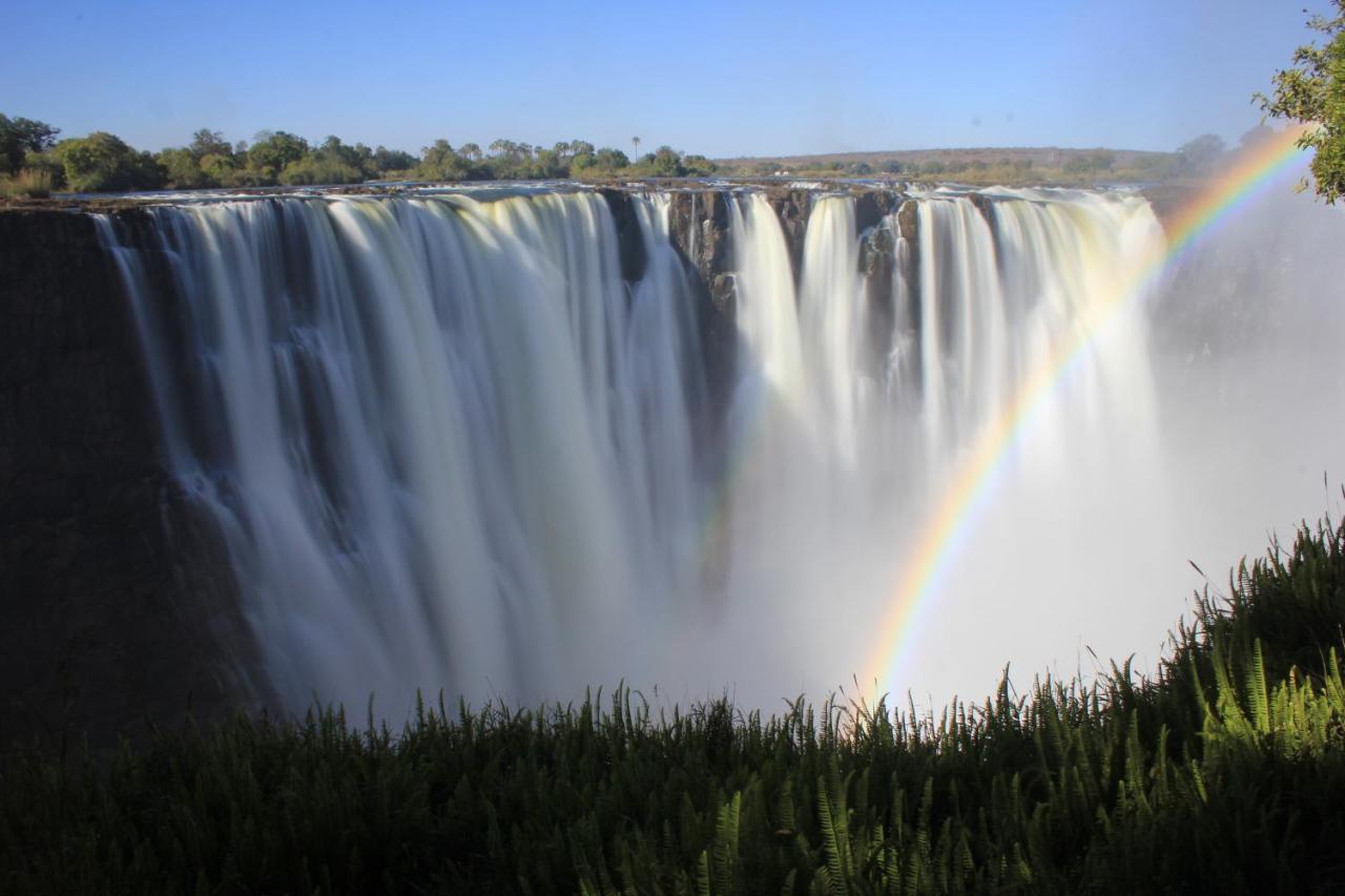 Victoria Falls Backpackers Lodge Eksteriør bilde