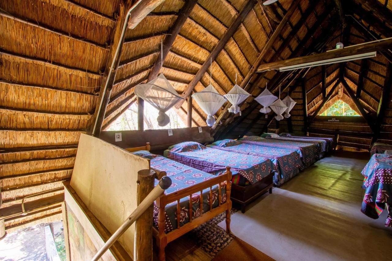 Victoria Falls Backpackers Lodge Eksteriør bilde