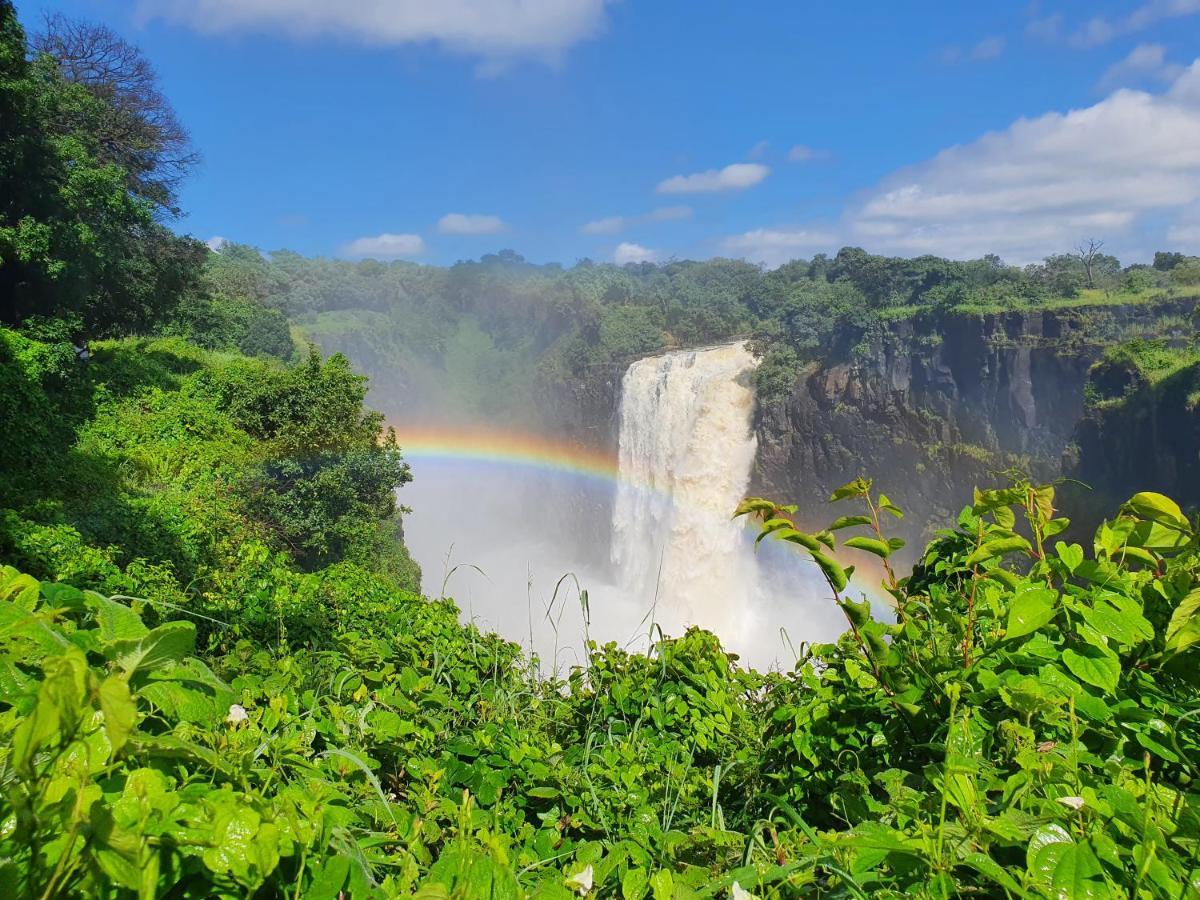 Victoria Falls Backpackers Lodge Eksteriør bilde