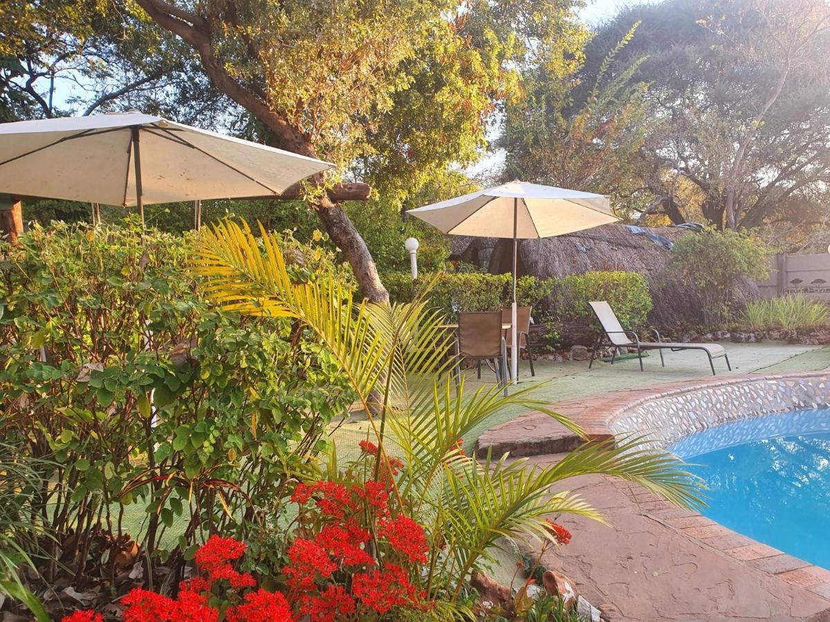 Victoria Falls Backpackers Lodge Eksteriør bilde