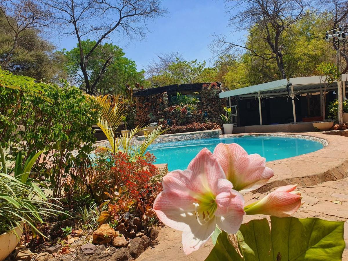 Victoria Falls Backpackers Lodge Eksteriør bilde