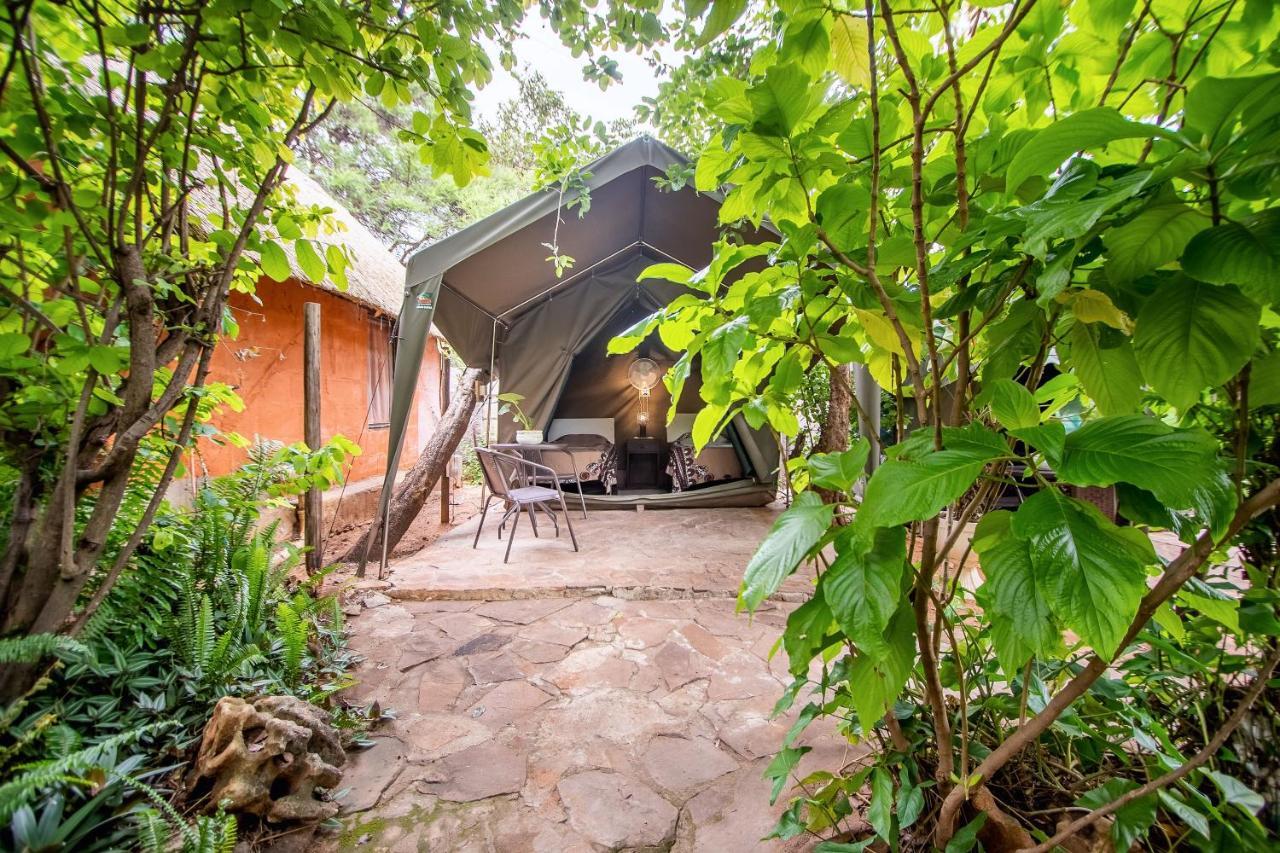 Victoria Falls Backpackers Lodge Eksteriør bilde
