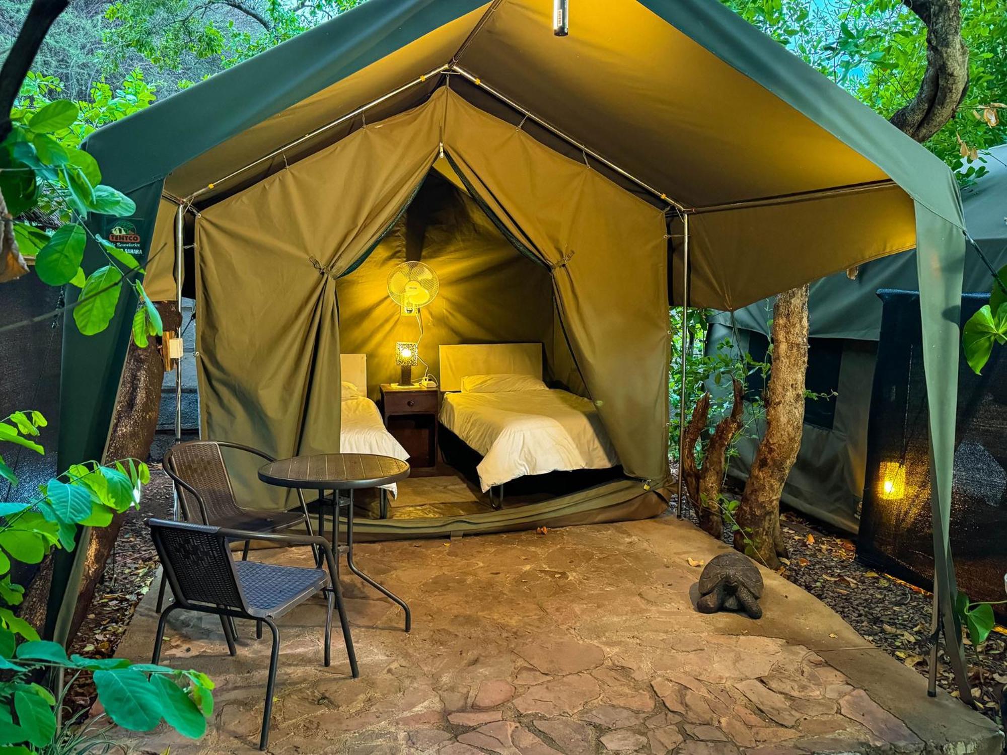 Victoria Falls Backpackers Lodge Eksteriør bilde
