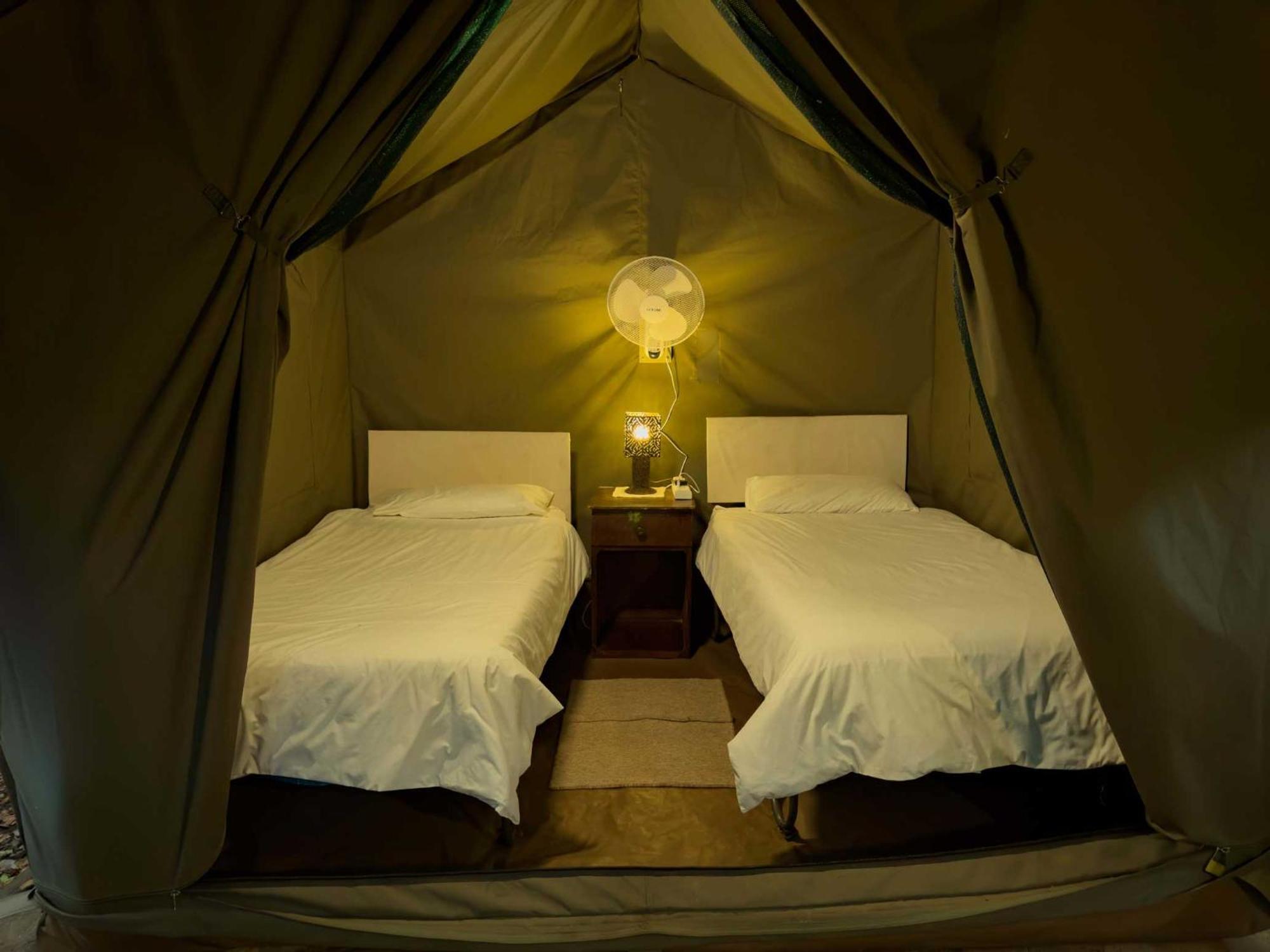 Victoria Falls Backpackers Lodge Eksteriør bilde