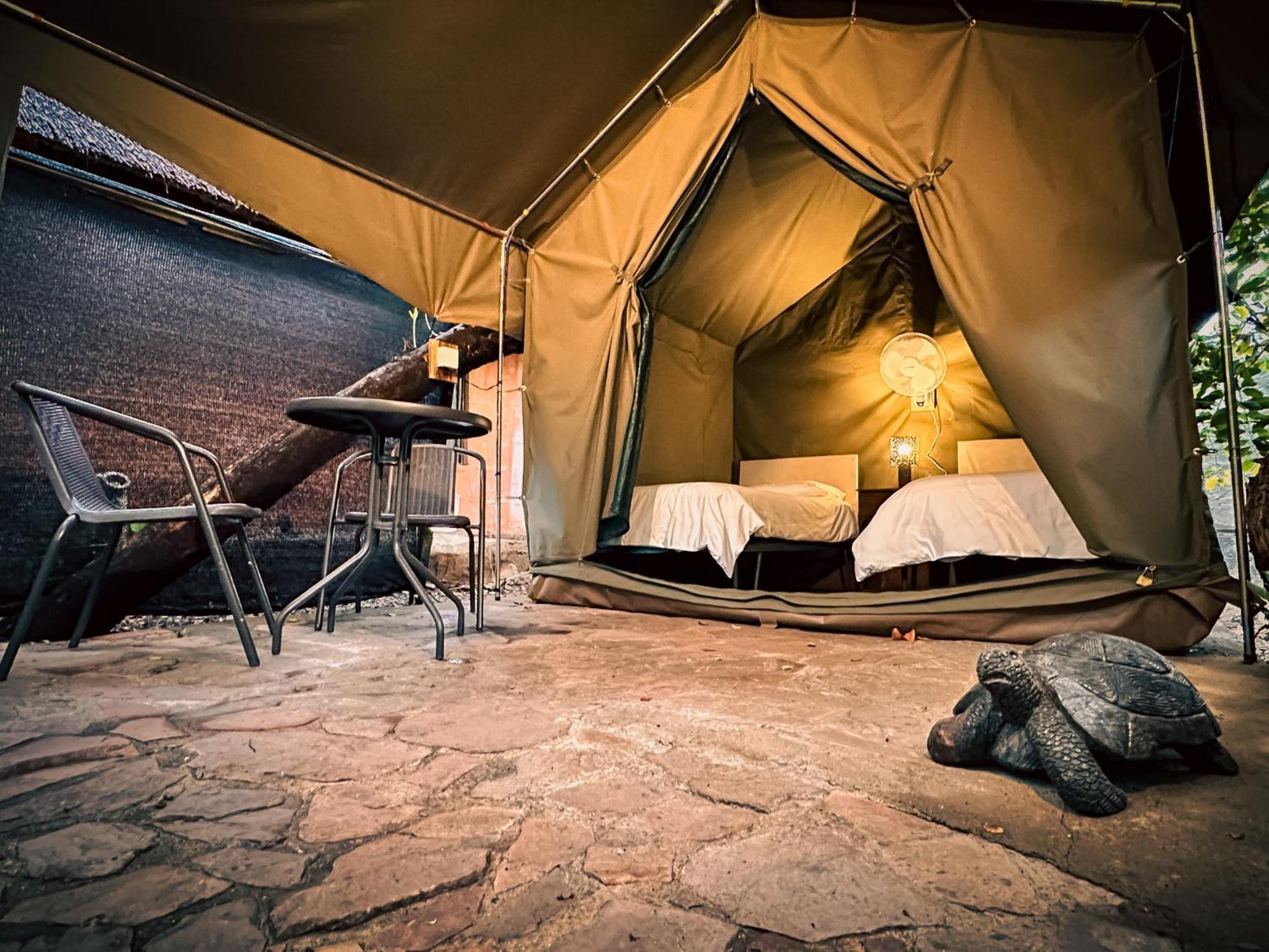 Victoria Falls Backpackers Lodge Eksteriør bilde
