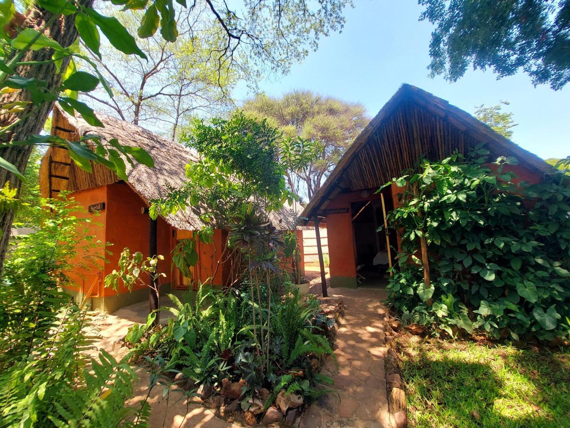 Victoria Falls Backpackers Lodge Eksteriør bilde