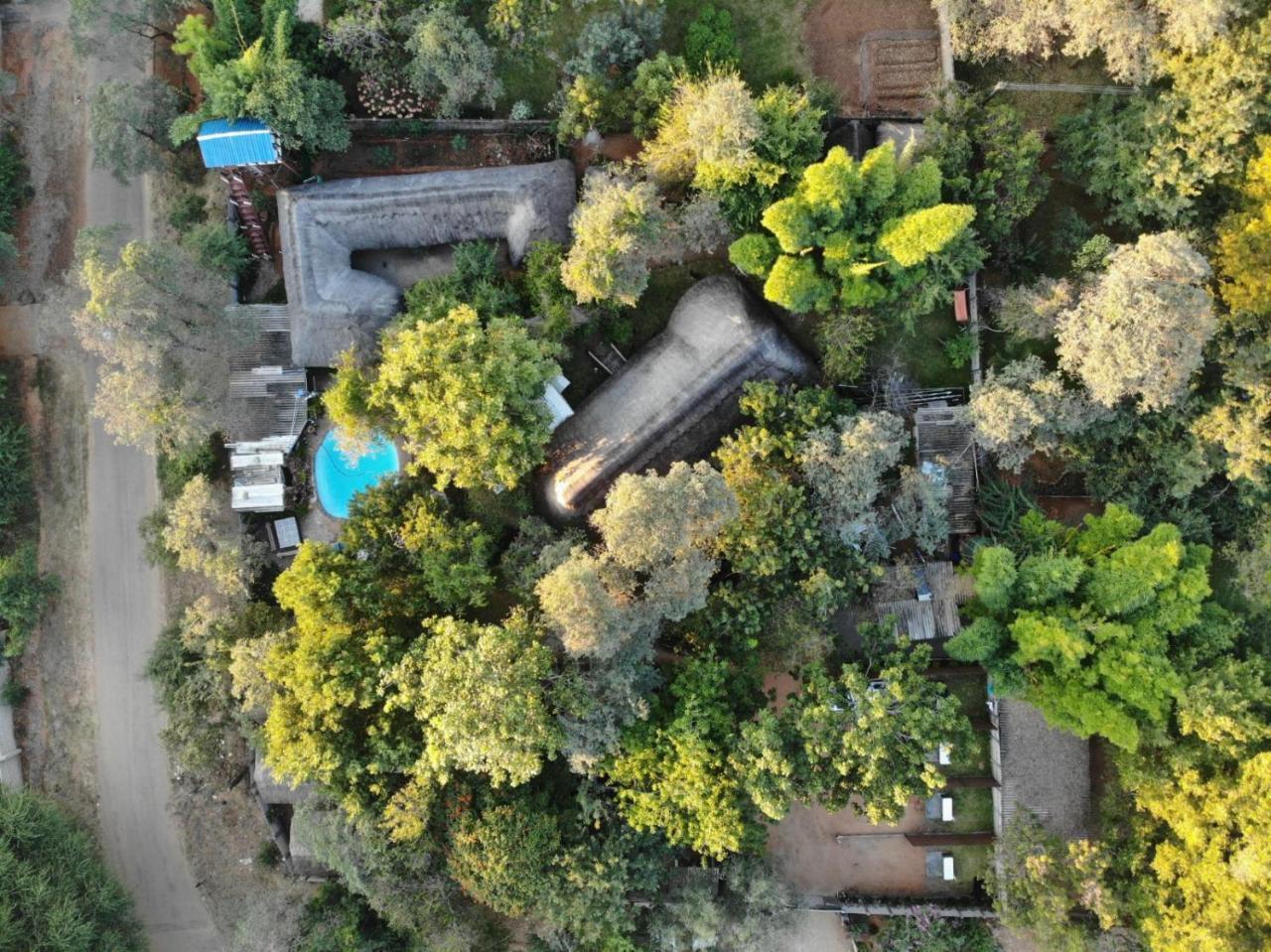 Victoria Falls Backpackers Lodge Eksteriør bilde